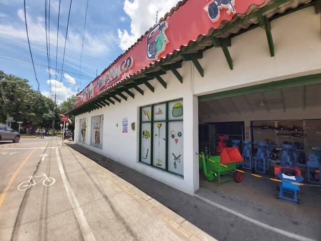 Alquiler en La Castellana - Montería