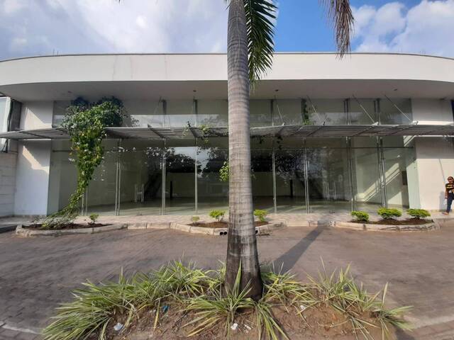 Local para Alquiler en Montería - 2