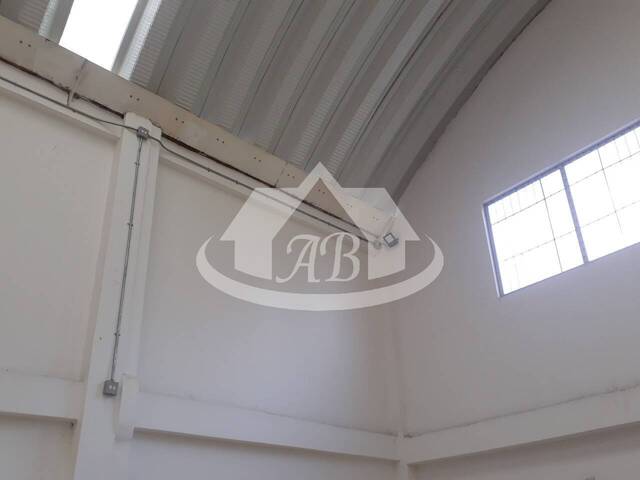 Bodegas para Alquiler en Montería - 5