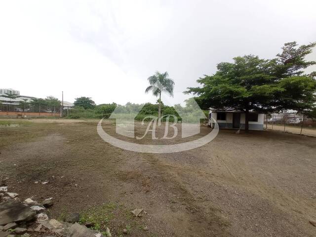 Local para Alquiler en Montería - 5
