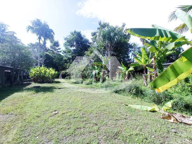 Lotes para Venta en Montería - 4
