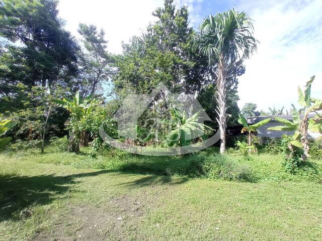 Lotes para Venta en Montería - 5