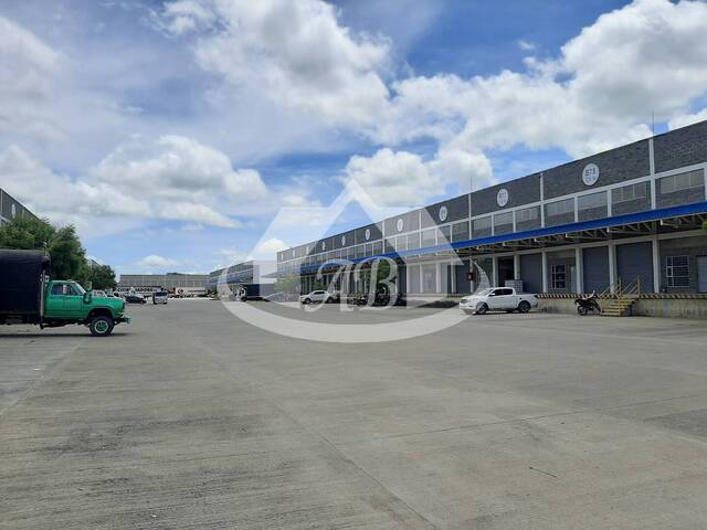 Bodegas para Venta en Montería - 5