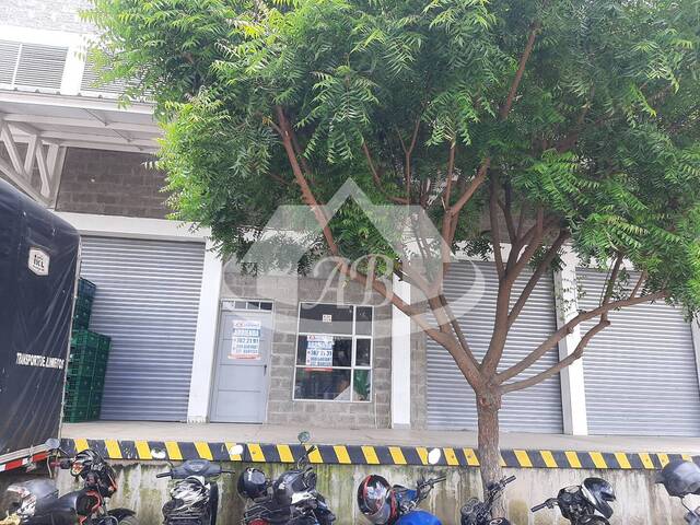 Bodegas para Venta en Montería - 4