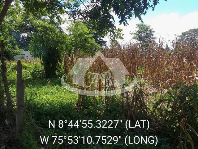 Lotes para Venta en Montería - 4