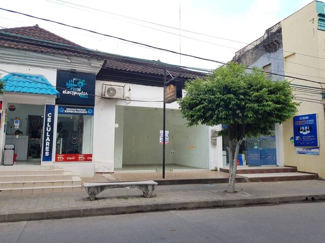 Alquiler en Centro - Montería
