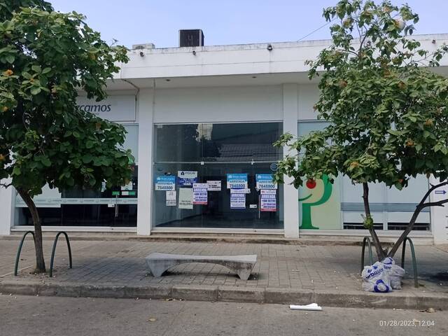 Alquiler en Centro - Montería