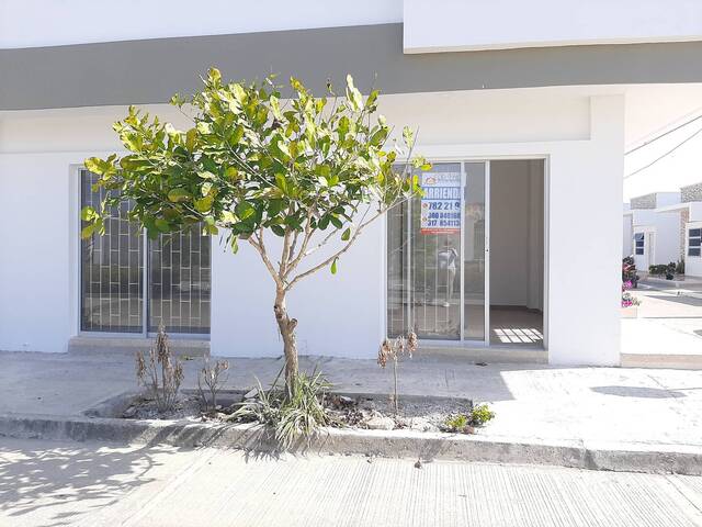 Alquiler en Urbanización Vallejo - Montería