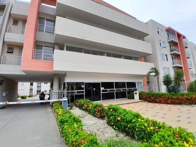 Alquiler en La Castellana - Montería
