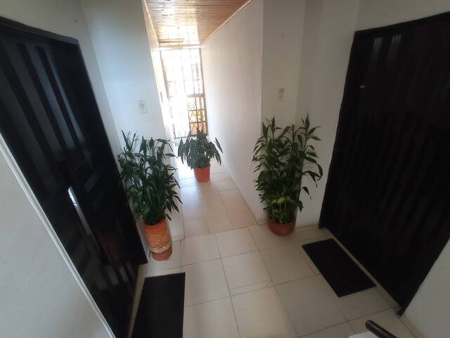 #1171 - Apartamento para Alquiler en Montería - COR - 3