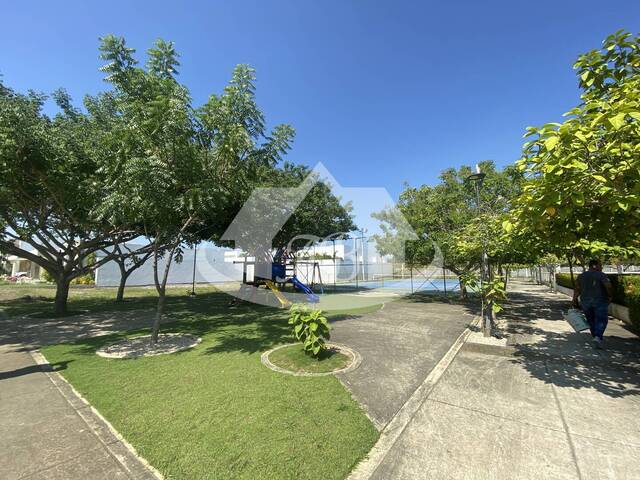 Lotes para Venta en Montería - 4