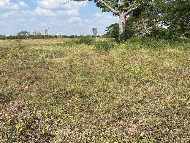 #1504 - Lotes para Venta en Montería - COR - 3