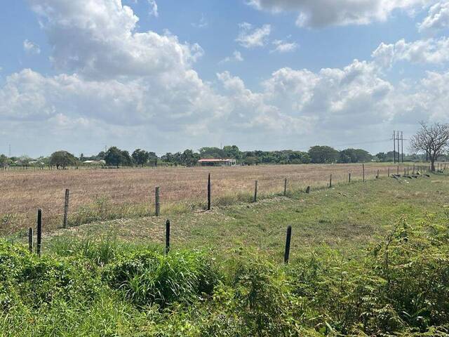 #1504 - Lotes para Venta en Montería - COR - 1