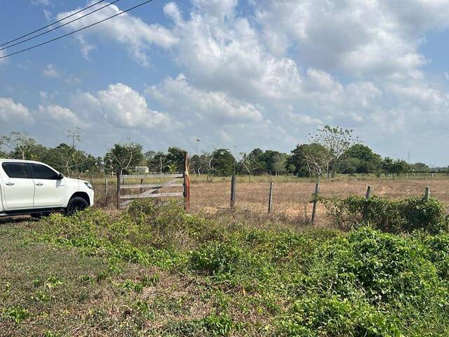 #1504 - Lotes para Venta en Montería - COR - 2