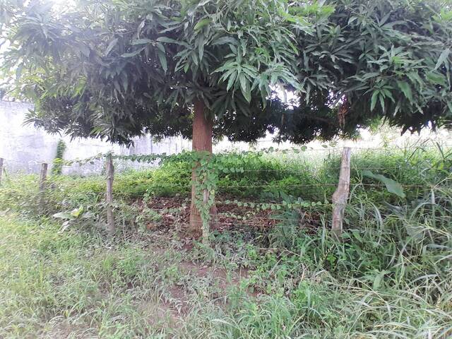 #1582 - Lotes para Venta en Montería - COR - 3