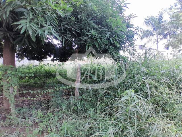Lotes para Venta en Montería - 4