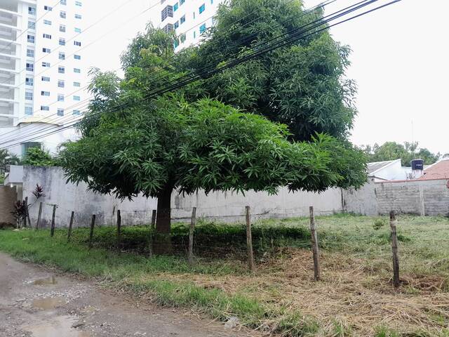 #1582 - Lotes para Venta en Montería - COR - 1