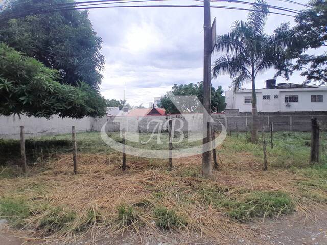 Lotes para Venta en Montería - 5