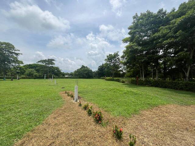 #1656 - Lotes para Venta en Montería - COR - 3