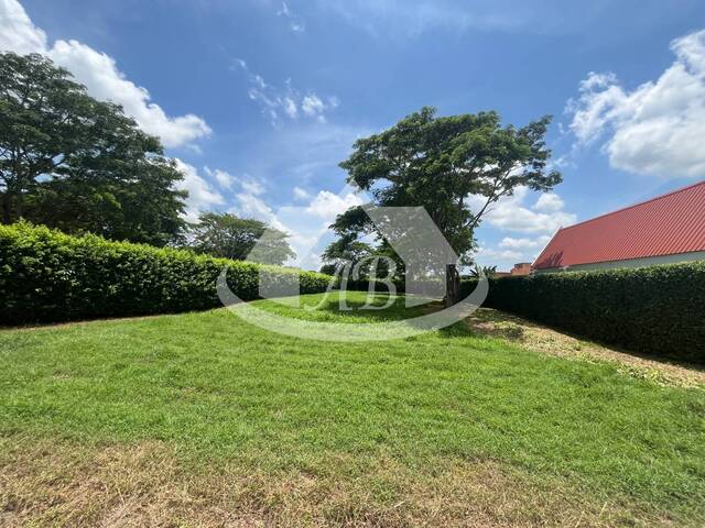 Lotes para Venta en Montería - 4