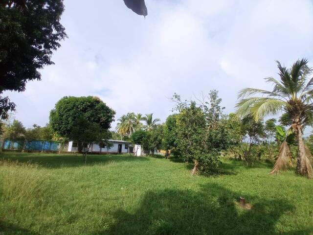#1865 - Casa para Alquiler en Montería - COR - 1