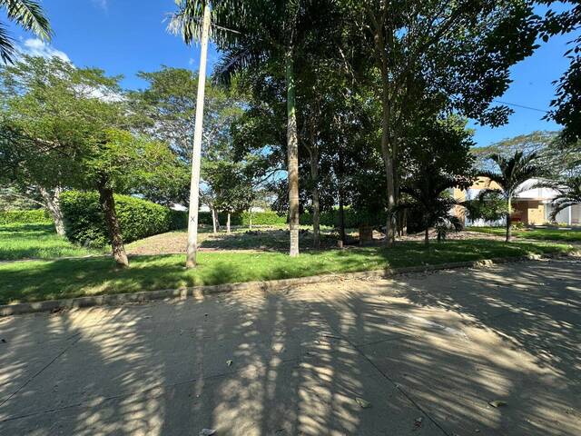 #1907 - Lotes para Venta en Montería - COR - 1