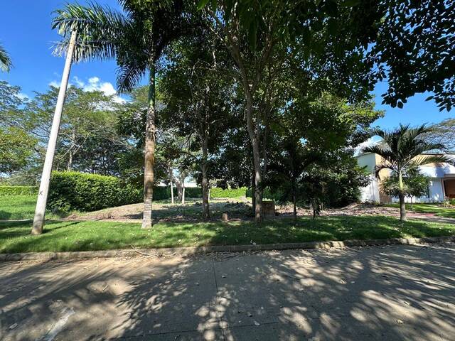 #1907 - Lotes para Venta en Montería - COR - 3