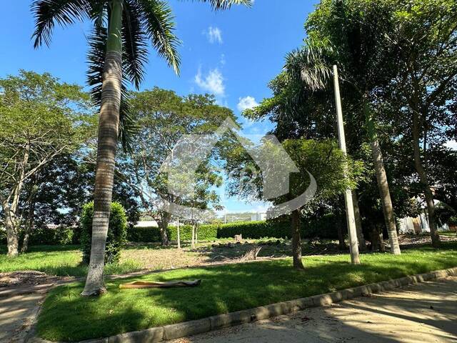 Lotes para Venta en Montería - 4