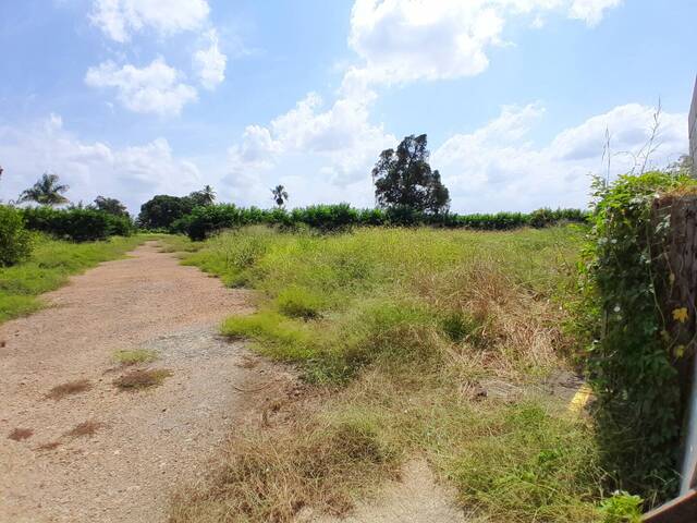 #1908 - Lotes para Venta en Montería - COR - 3