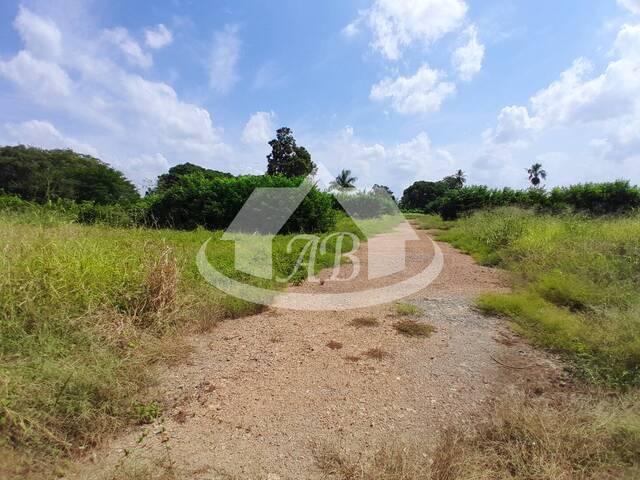 Lotes para Venta en Montería - 4