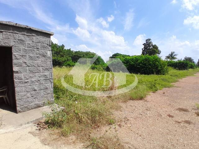 Lotes para Venta en Montería - 5