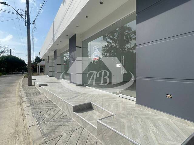 Local para Alquiler en Cereté - 4