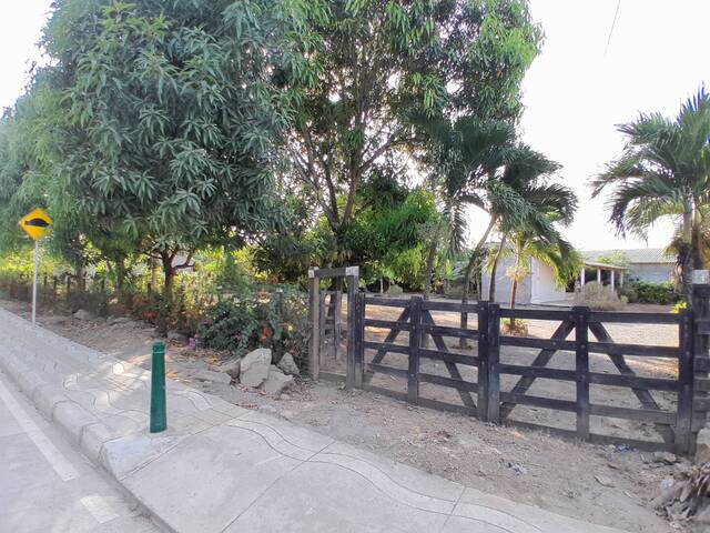 #1919 - Lotes para Venta en Montería - COR - 1