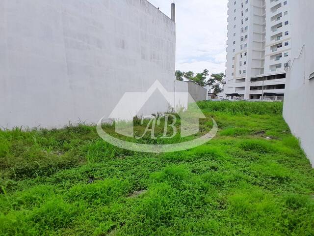 Lotes para Venta en Montería - 5