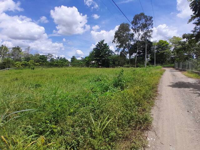 #9154 - Lotes para Venta en Montería - COR - 2