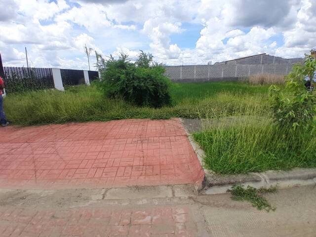#9155 - Lotes para Venta en Montería - COR