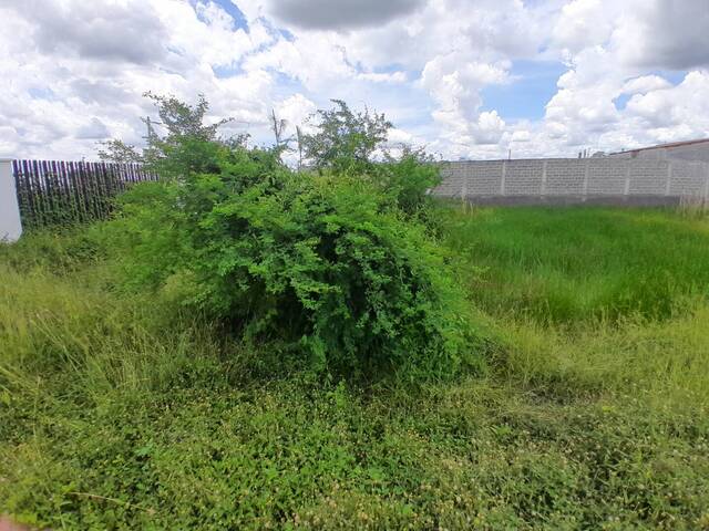 #9155 - Lotes para Venta en Montería - COR