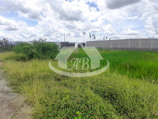 Lotes para Venta en Montería - 4
