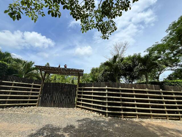 Venta en LAS PULGAS - Montería