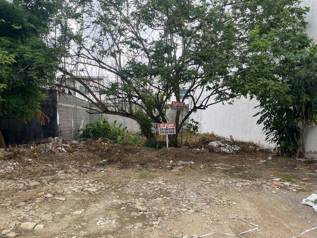 Venta en La Castellana - Montería