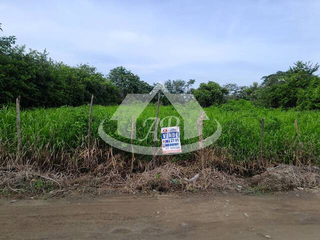 Lotes para Venta en Montería - 5