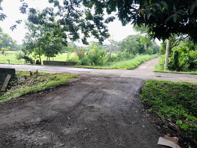 #9168 - Lotes para Venta en Montería - COR - 3