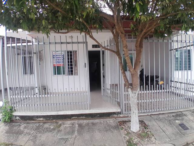 Alquiler en Urbanización Vallejo - Montería