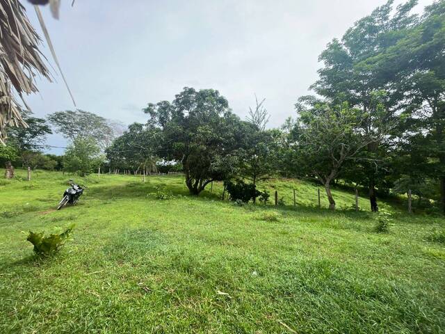 # -  para Alquiler en Montería - COR - 2