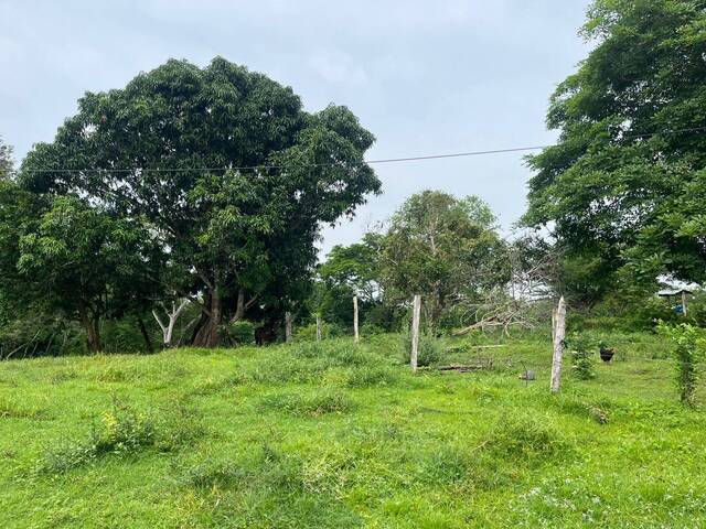 # -  para Alquiler en Montería - COR - 1