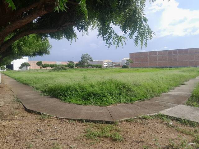 Venta en Km 3 Vía Planeta Rica - Montería