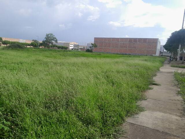 #9225 - Lotes para Venta en Montería - COR - 3