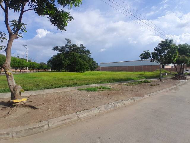 #9226 - Lotes para Venta en Montería - COR - 2