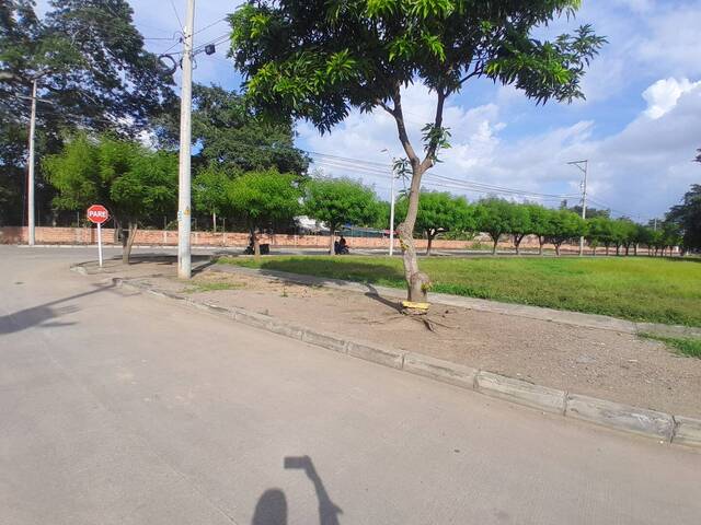 #9226 - Lotes para Venta en Montería - COR - 3