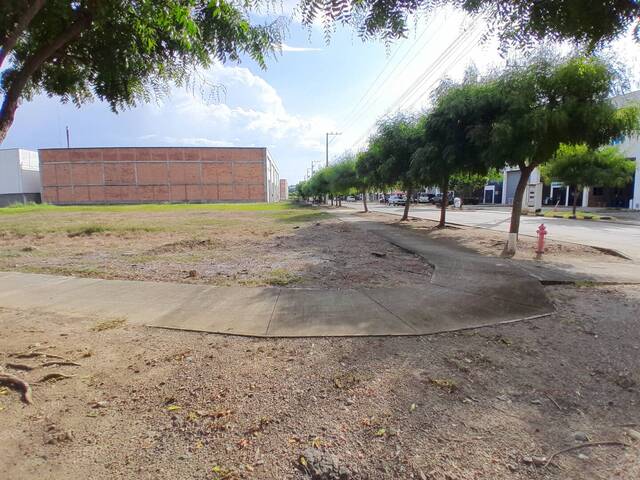 #9227 - Lotes para Venta en Montería - COR - 2